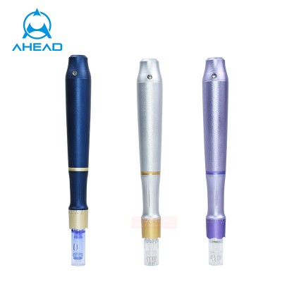 Popular home use professional skin care beauty wireless electric derma pen comes with 2pcs 12 pin needle cartridge micro needle